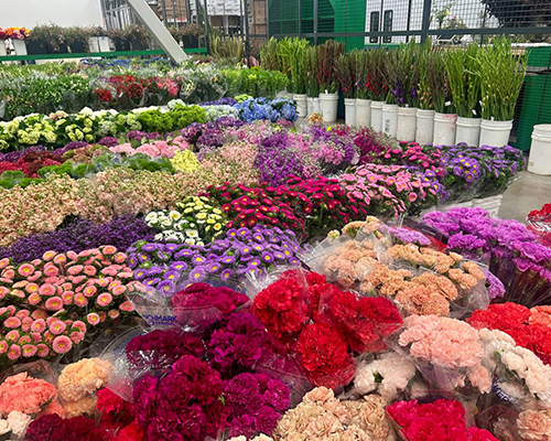 Wholesale Flower Market